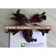 DRIED HIBISCUS FLOWER FROM SUDAN